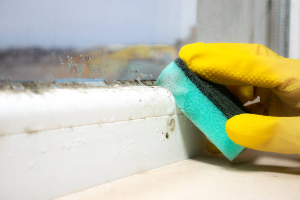 Best Industrial Mold Remediation in Scarsdale, NY